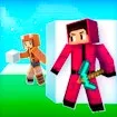 Hide and Seek in Block Craft